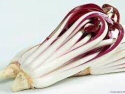 la cena del radicchio