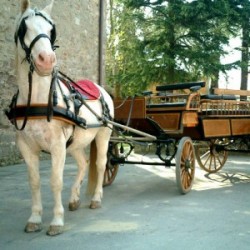 17 giugno: BOLLICINE IN CARROZZA da TONI CUCO