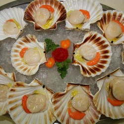 5 Agosto: serata MOLLUSCHI al CAFFè RISTORANTE GARIBALDI