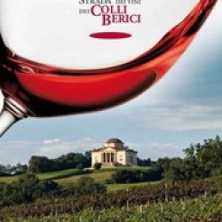 "90 miglia dei Berici": Tour turistico enogastronomico lungo la Strada dei Vini dei Colli Berici