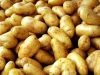 Le patate delle Bregonze e tipicità locali