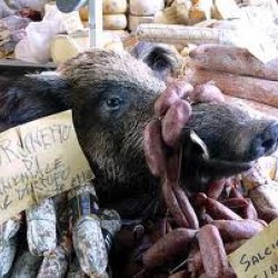 Specialità di cinghiale alla Trattoria da Romano