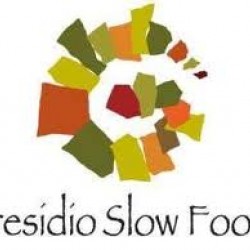 Cena dedicata dai cuochi ai prodotti dei Presidi Slowfood