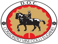 40° anniversario Consorzio Vini Colli Euganei