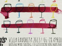 VinNatur 2013 a Villa Favorita : 6 - 7 - 8 aprile 2013