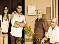 Bucoliche Emozioni : Cantine Mucci 