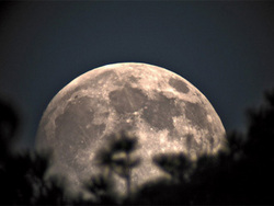 Serata al chiaro di luna piena