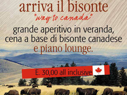 Arriva il bisonte canadese... Voglia di carne?