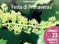 Festa di Primavera Paladin 2014