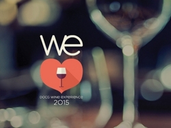 DOCG WINE EXPERIENCE 2015