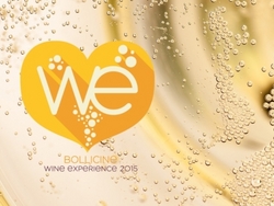 BOLLICINE WINE EXPERIENCE