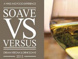 Soave Versus : 5-7 settembre 2015