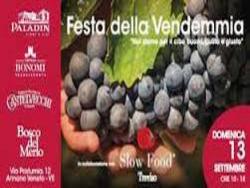 Festa della Vendemmia alle Cantine Paladin