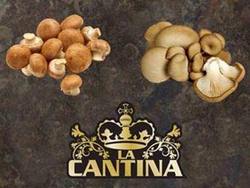 Gran Galà dei Funghi