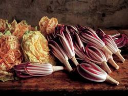 Radicchio & Radicchio