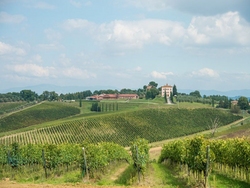 Serata di Villa Tacchi con Tenute del Cerro