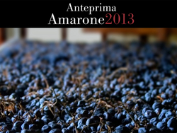 Anteprima Amarone 2013 a Verona: 28 - 29 - 30 gennaio