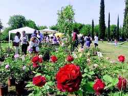 Franciacorta in fiore e la corte dei sapori a Tenuta Ambrosini