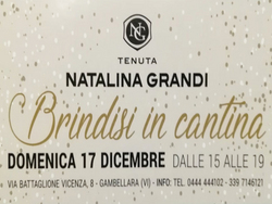 Brindisi alla Tenuta Natalina Grandi