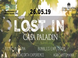 lost in casa paladin