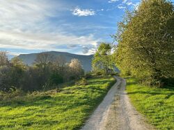 serata di fine estate con funghi e selvaggina