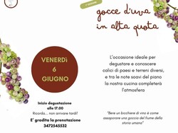 Gocce d’Uva in Alta Quota: Calici, Note e Sapori Montani
