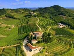 Stefano Cipolato ci porta alla scoperta dei vini AQUILA DEL TORRE con grandi formaggi