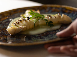 Menù Degustazione di Pesce con Vini ioMazzucato