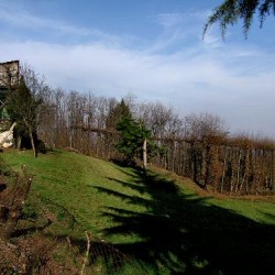 05 Aprile: si apre il “magasin” alla Trattoria Chiesetta del Muccion